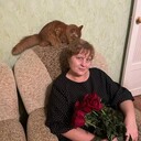   ,   , 56 ,   ,   