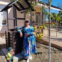 ���������� �����, ���� ������� �����, 49 ���, ������������ ��� ����� � ���������, c�������� ���������