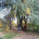 ���������� �����-���������, ���� ������� ����, 42 ����, ������������ ��� ����� � ���������, c�������� ���������