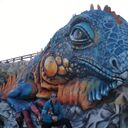 ���������� ����, ���� ������� ����, 42 ����, ������������ ��� c�������� ���������