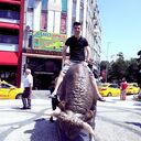 ���������� ���������, ���� ������� ������, 36 ���, ������������ ��� ������, ����� � ���������