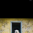 ���������� �����-���������, ���� ������� ���, 45 ���, ������������ ��� ������, ����� � ���������, c�������� ���������, ���������