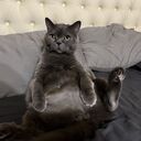  ,   , 29 ,   ,   , c , 