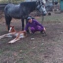  ,   , 38 ,   ,   