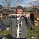 ���������� ����, ���� ������� �������, 46 ���, ������������ ��� ������, ���������