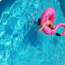 ���������� ������, ���� ������� Alberto, 41 ���, ������������ ��� ������, ����� � ���������, c�������� ���������