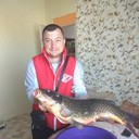  ,   , 46 ,   ,   , c , 