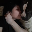 ���������� ������, ���� ������� �������, 38 ���, ������������ ��� ������, c�������� ���������