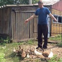  ,   , 71 ,   