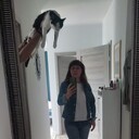  ,   , 54 ,     , c 