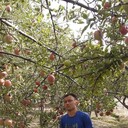 ���������� ����������, ���� ������� ����, 28 ���, ������������ ��� ������, ����� � ���������