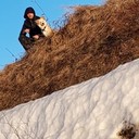 ���������� ����, ���� ������� ���������, 40 ���, ������������ ��� ������, ����� � ���������, c�������� ���������, ���������