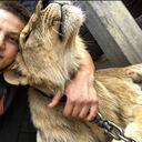 ���������� ������, ���� ������� Baga, 30 ���, ������������ ��� ������, ����� � ���������