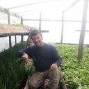 ���������� �����, ���� ������� ������, 46 ���, ������������ ��� ������, ����� � ���������, c�������� ���������