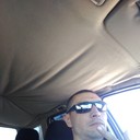 ���������� �����������, ���� ������� ����, 40 ���, ������������ ��� ������, ����� � ���������, c�������� ���������