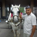  ,   Vladimir, 80 ,     , c 