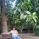 ���������� ���������, ���� ������� �������, 46 ���, ������������ 