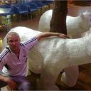  ,    , 37 ,   ,   , c 