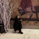 ���������� ���������, ���� ������� �����, 37 ���, ������������ ��� ����� � ���������, c�������� ���������, ���������