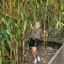  ,   , 51 ,     , c , 
