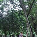 ���������� ���, ���� ������� ����, 35 ���, ������������ ��� ������, ����� � ���������