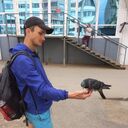 ���������� �����, ���� ������� �������, 38 ���, ������������ ��� ������, ����� � ���������, c�������� ���������, ���������