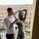 ���������� ������, ���� ������� ������, 32 ����, ������������ ��� ������, ����� � ���������, c�������� ���������, ���������