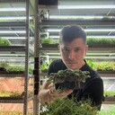 ���������� ���������, ���� ������� ������, 31 ���, ������������ ��� ����� � ���������, c�������� ���������, ���������