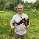 ���������� �����, ���� ������� �����, 40 ���, ������������ ��� ������, ����� � ���������, c�������� ���������