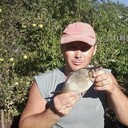  ,   , 54 ,   c 