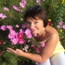 ���������� �����, ���� ������� ����, 62 ����, ������������ ��� ������, ����� � ���������, c�������� ���������