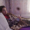  -,   , 35 ,   ,   , c 