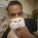 ���������� ������, ���� ������� ���, 45 ���, ������������ ��� ������, ����� � ���������, c�������� ���������