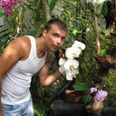  ,   , 56 ,   