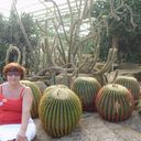  ,   Alla, 66 ,   ,   , c 