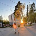  -,   , 53 ,   ,   , 