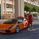 ���������� ��������, ���� ������� �����, 40 ���, ������������ ��� ������