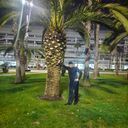 ���������� �����, ���� ������� ��� �����, 40 ���, ������������ 