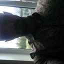  ,   , 35 ,   ,   , c 