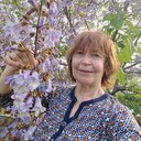 ���������� ����, ���� ������� �������, 68 ���, ������������ ��� ����� � ���������, c�������� ���������