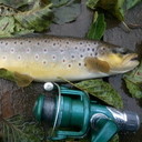 ���������� �����, ���� ������� ������, 39 ���, ������������ ��� ������, ����� � ���������, c�������� ���������