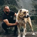  ,   Baloo, 36 ,   ,   