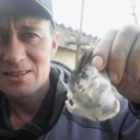  ,   , 47 ,   ,   , c 