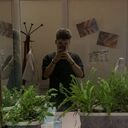 ���������� ������, ���� ����� ������, 20 ���, ������������ ��� ������, ����� � ���������