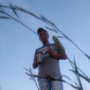  ,   , 47 ,  