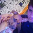 ���������� ����, ���� ������� ����, 29 ���, ������������ ��� ������, ����� � ���������