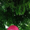 ���������� �����, ���� ������� ������, 35 ���, ������������ ��� ������, ����� � ���������, c�������� ���������, ���������