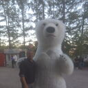 ���������� ����, ���� ������� ������, 53 ����, ������������ ��� ������