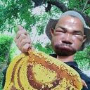  ,   , 66 ,   ,   