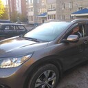 ���������� �����, ���� ������� �������, 44 ����, ������������ ��� c�������� ���������